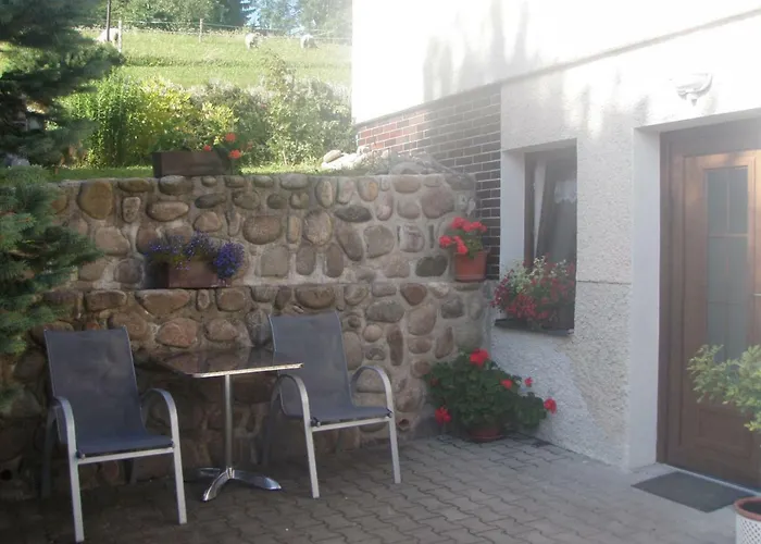 Beran Rokytnice nad Jizerou